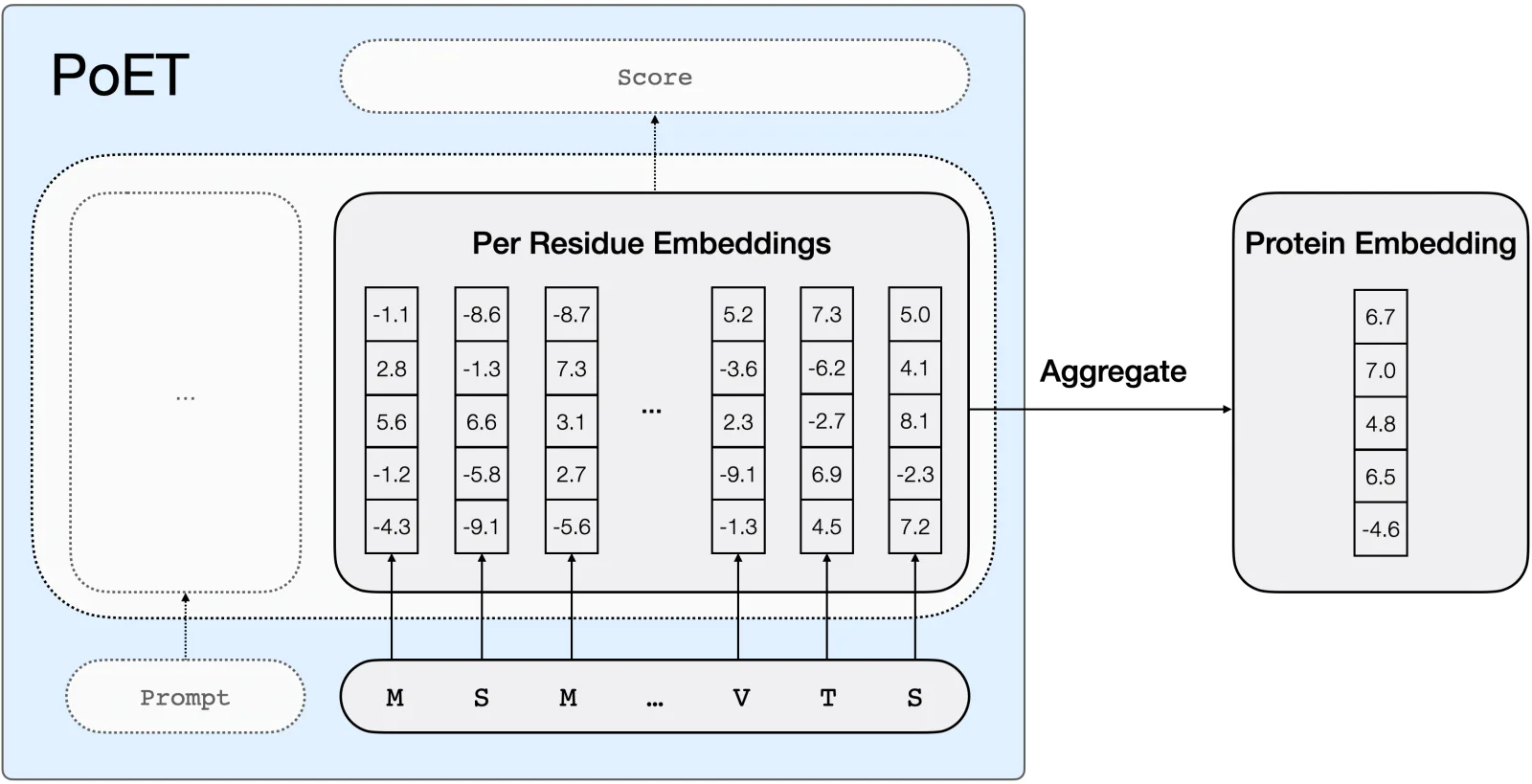 Diagram showing how PoET represents protein residues as vectors called embeddings that can be aggregated